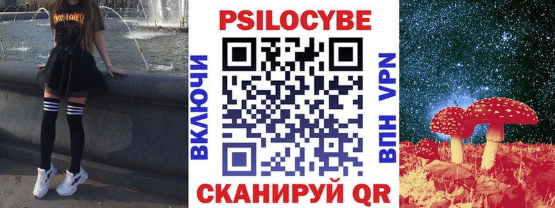 Галлюциногенные грибы Psilocybine cubensis OMG маркетплейс Барыш цены